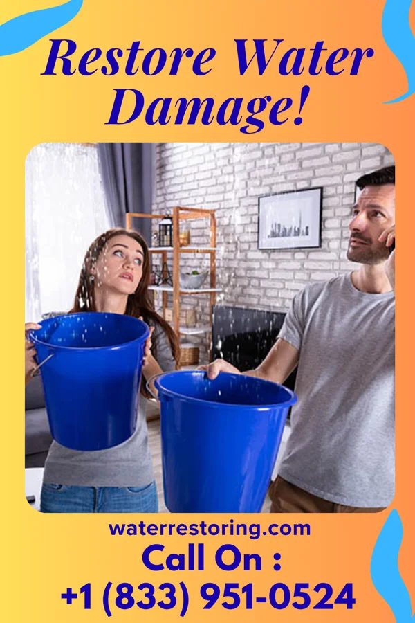 water restoration Central Recovery Experts Belmont