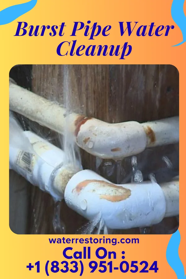 Burst Pipe Water Cleanup in Belmont, NY
