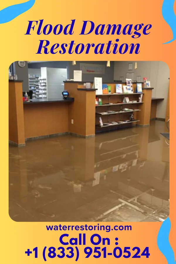 Flood Damage Restoration in Belmont, NY