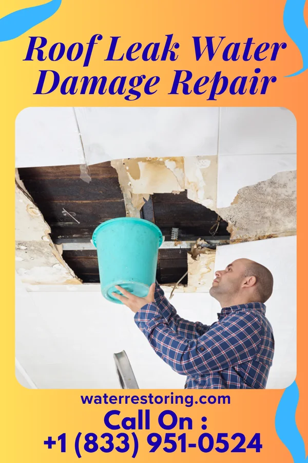 Roof Leak Water Damage Repair in Belmont, NY