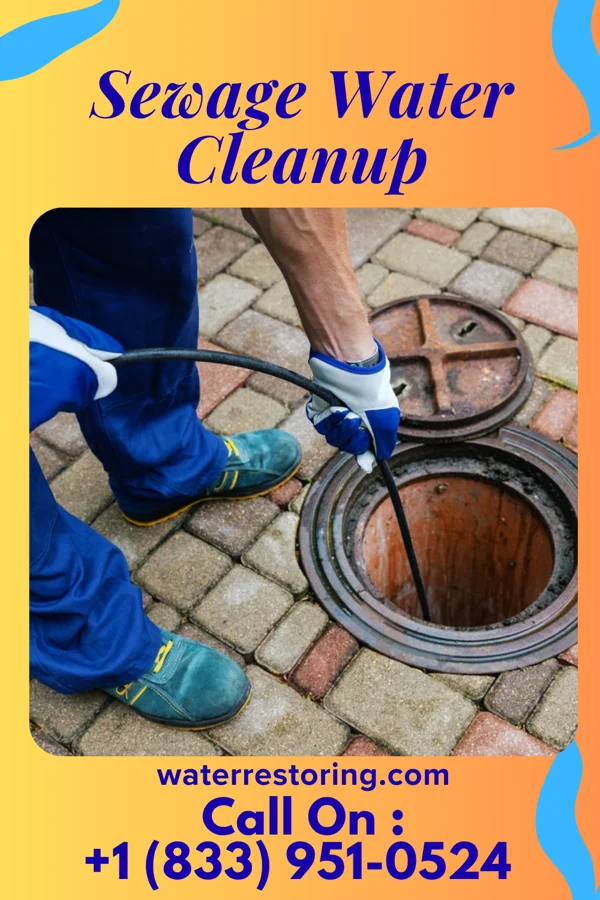 Sewage Water Cleanup in Belmont, NY