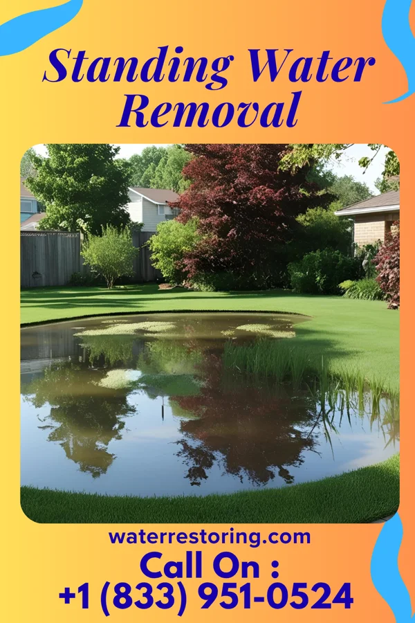 Standing Water Removal in Belmont, NY